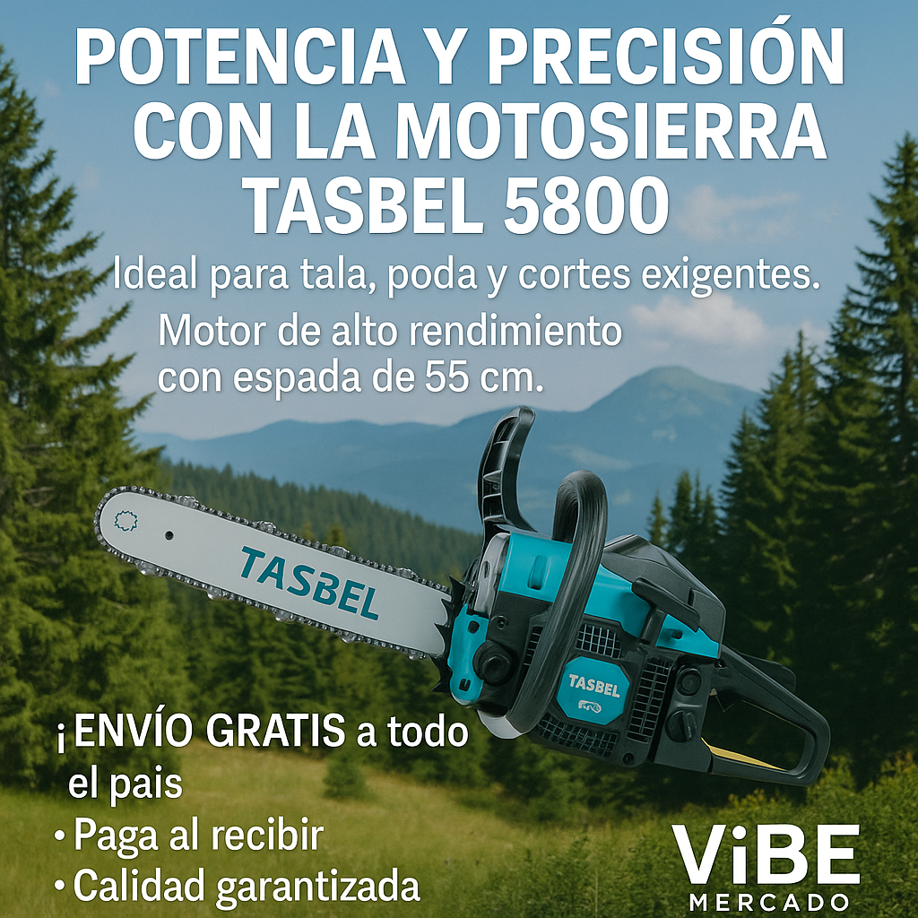 Motosierra 5.800 55Cm bencinera Tasbel